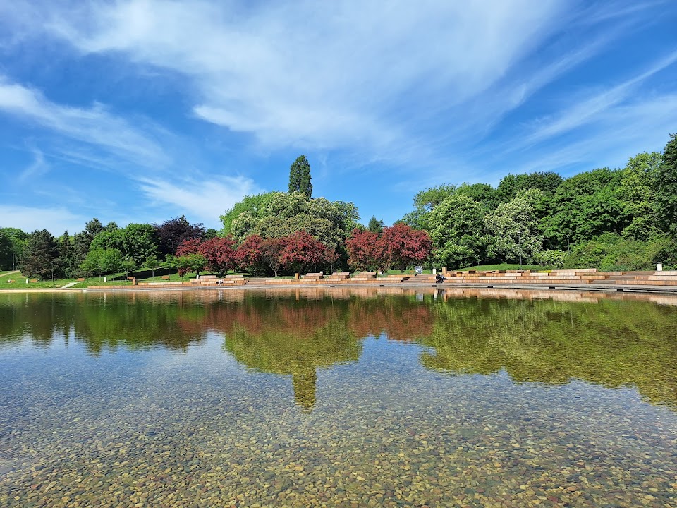 Main Pond