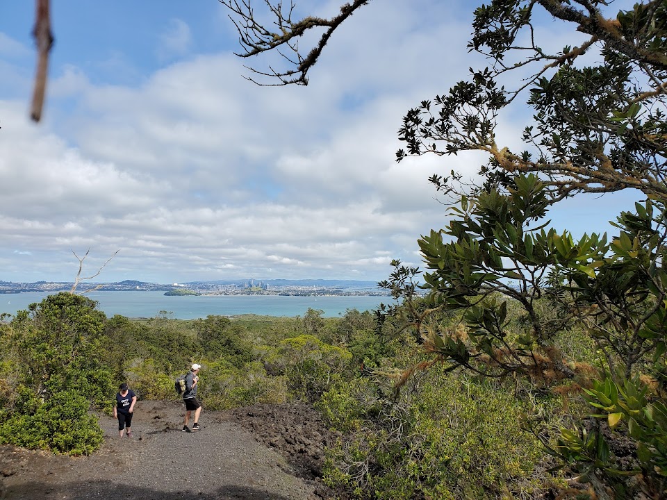 Rangitoto Summit Track