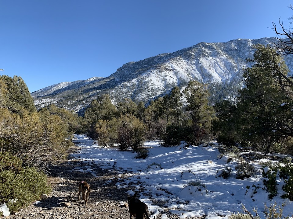 Fletcher Canyon Trailhead
