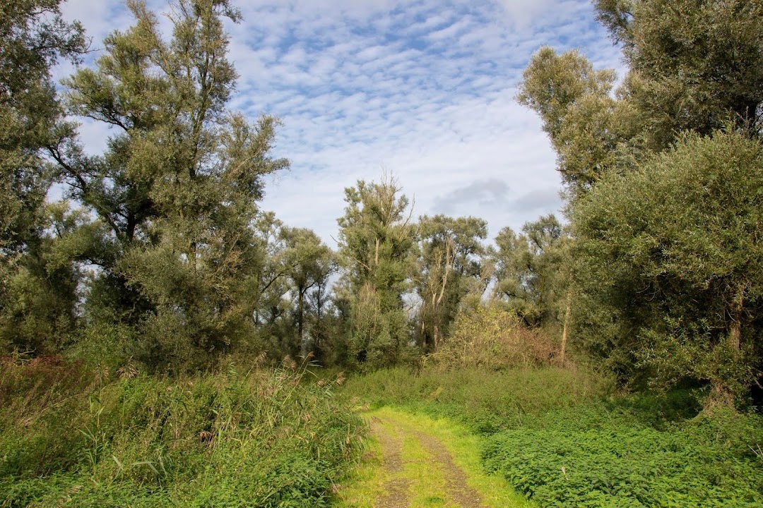 Oostvaardersplassen