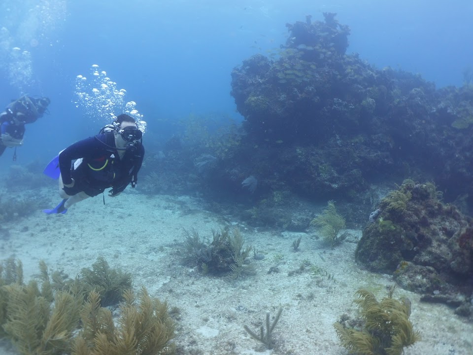 Manchones National Park Dive Site