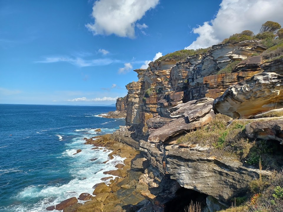 Royal National Park — Sydney experience