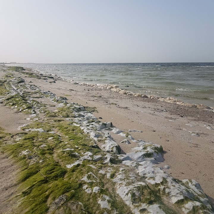 Bul Sayayeef Marine Protected Reserve