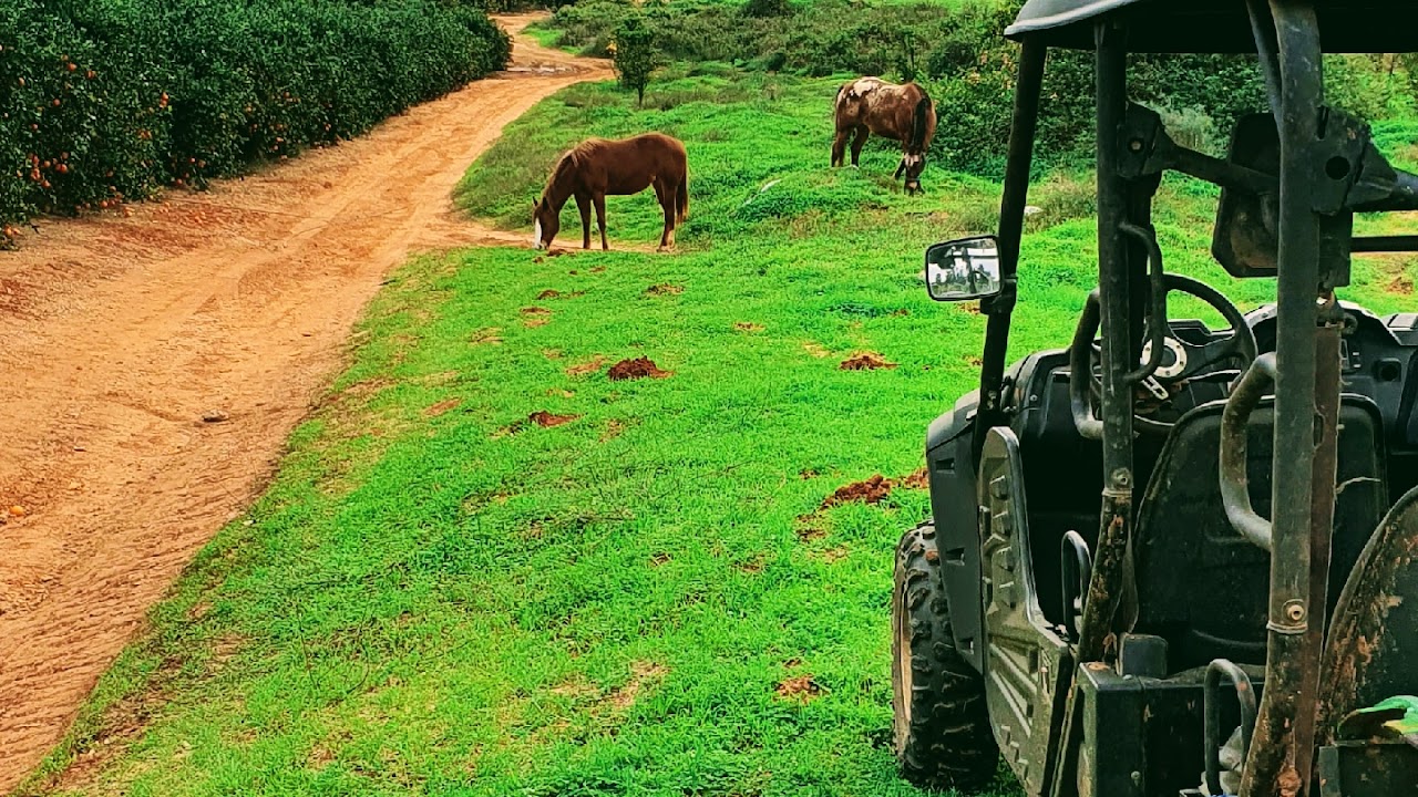 Sharon Tractor Services