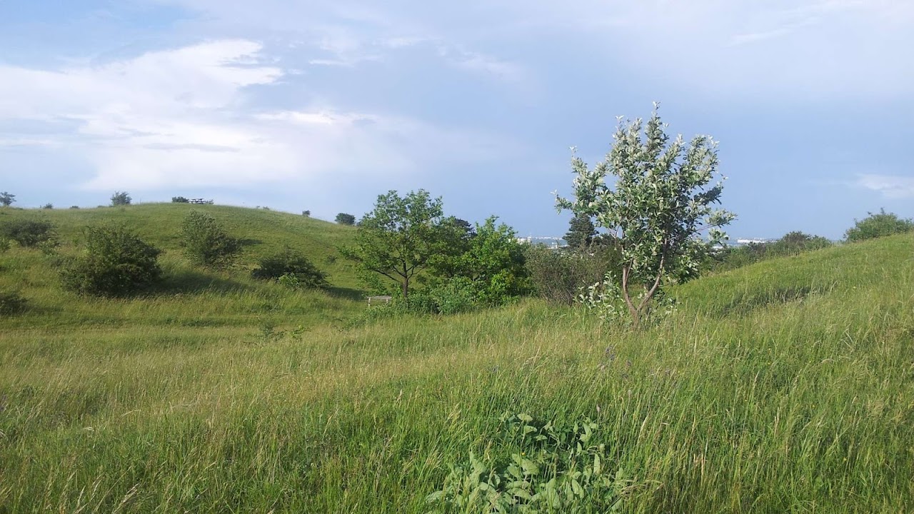 Perchtoldsdorfer Heide