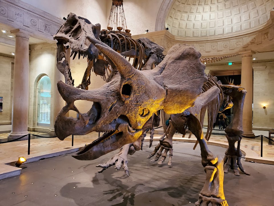 Natural History Museum of Los Angeles County