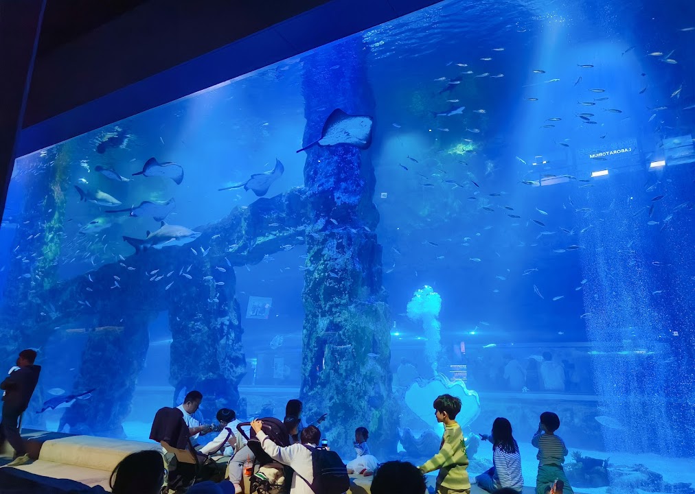 LOTTE WORLD AQUARIUM