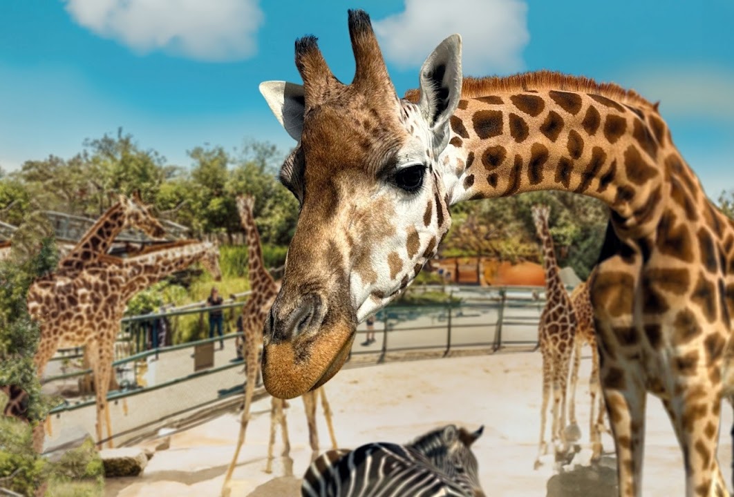 Knie's Kinderzoo