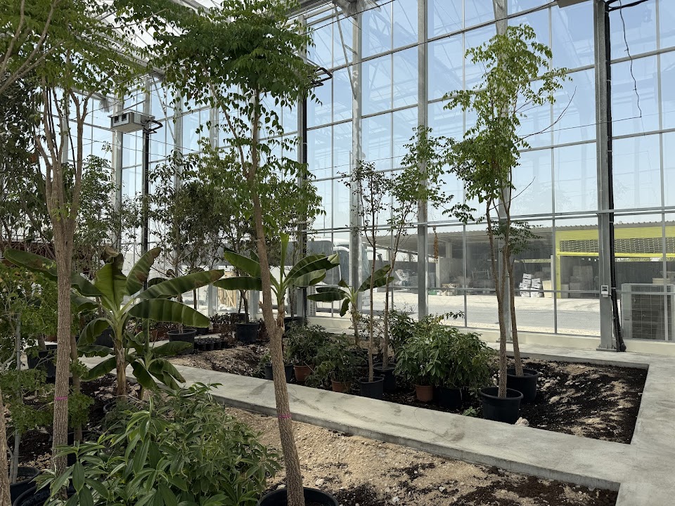 Qatar Foundation Plant Nursery