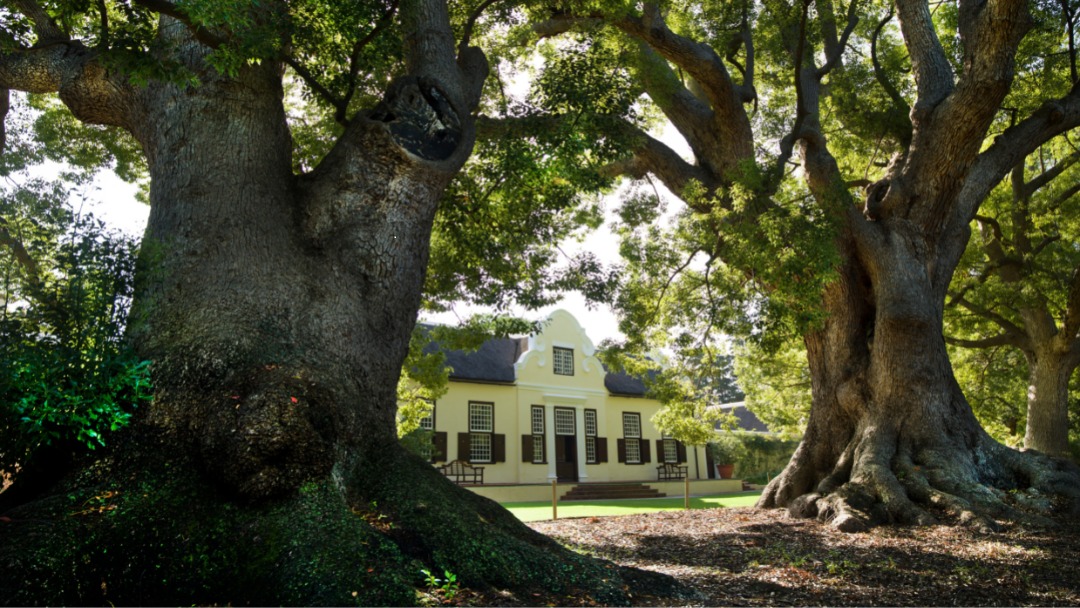 Vergelegen Wine Estate — Cape Town experience