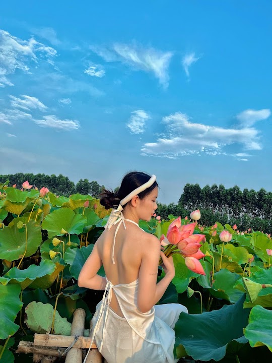 Đầm sen Tăng Tiến