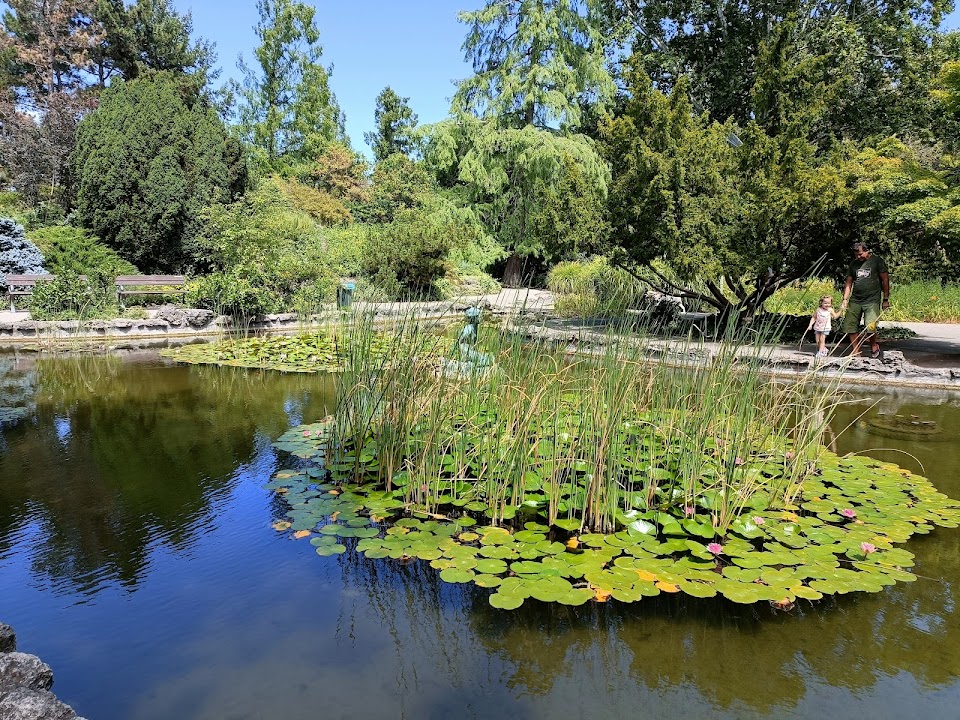 Japanese Garden