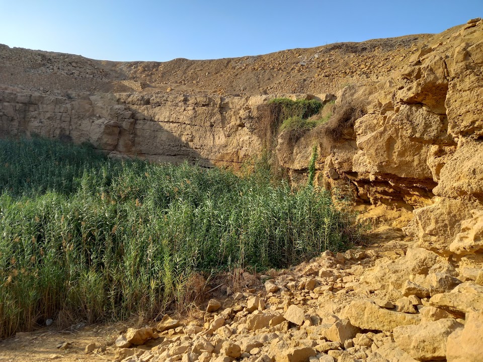 Ain Musa ( Ain Mousa )
