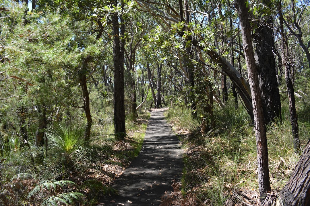 Ku-ring-gai Wildflower Garden