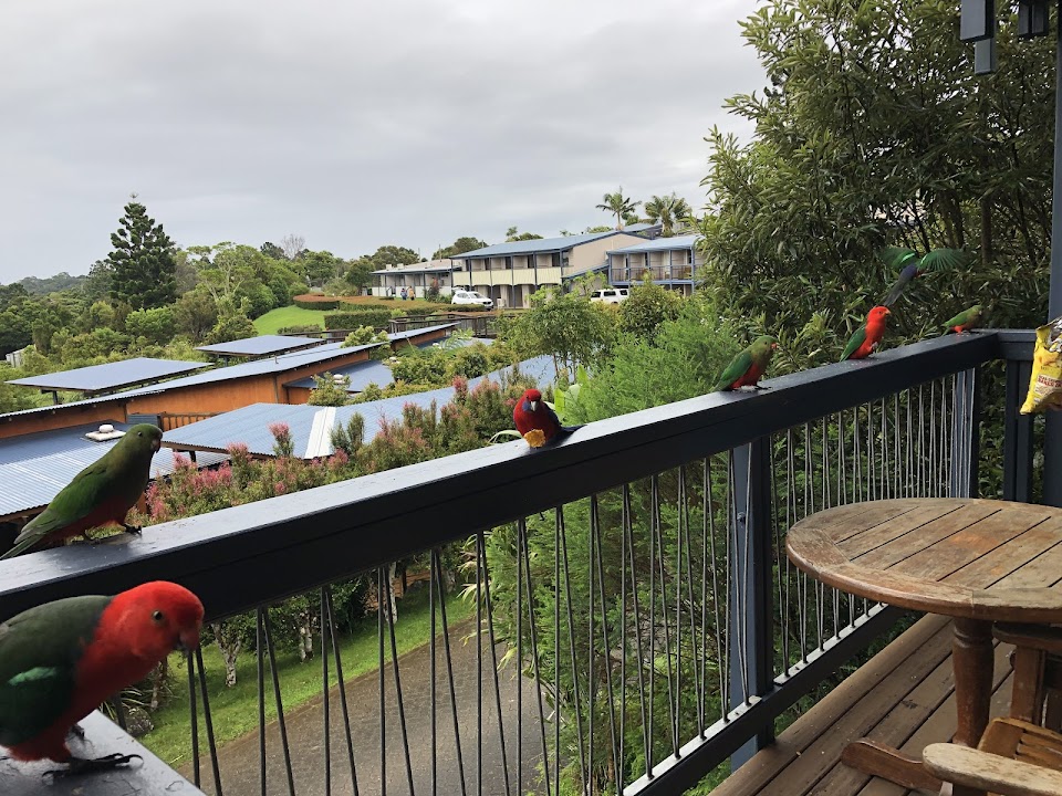 O'Reilly's Rainforest Retreat