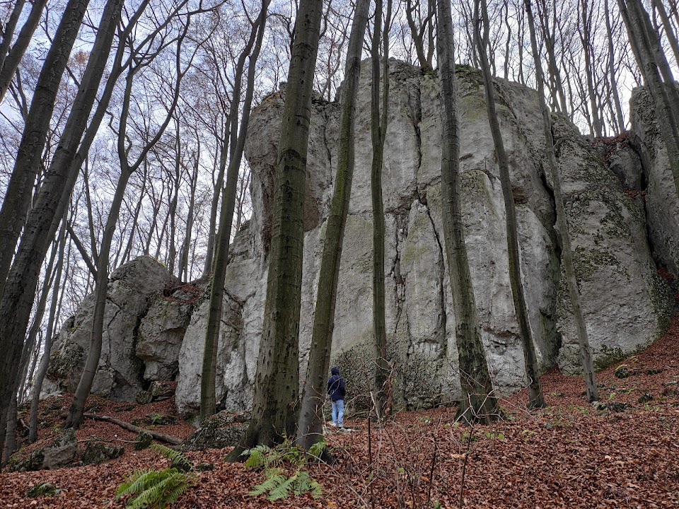 Rezerwat przyrody Pazurek