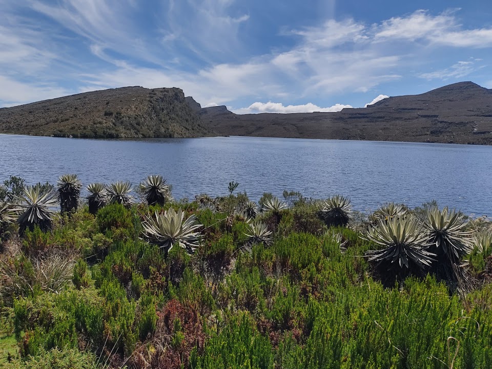 North Entrance Natural Sumapaz National Park