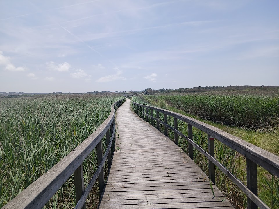 South entrance to Barrinha de Esmoriz Walkways