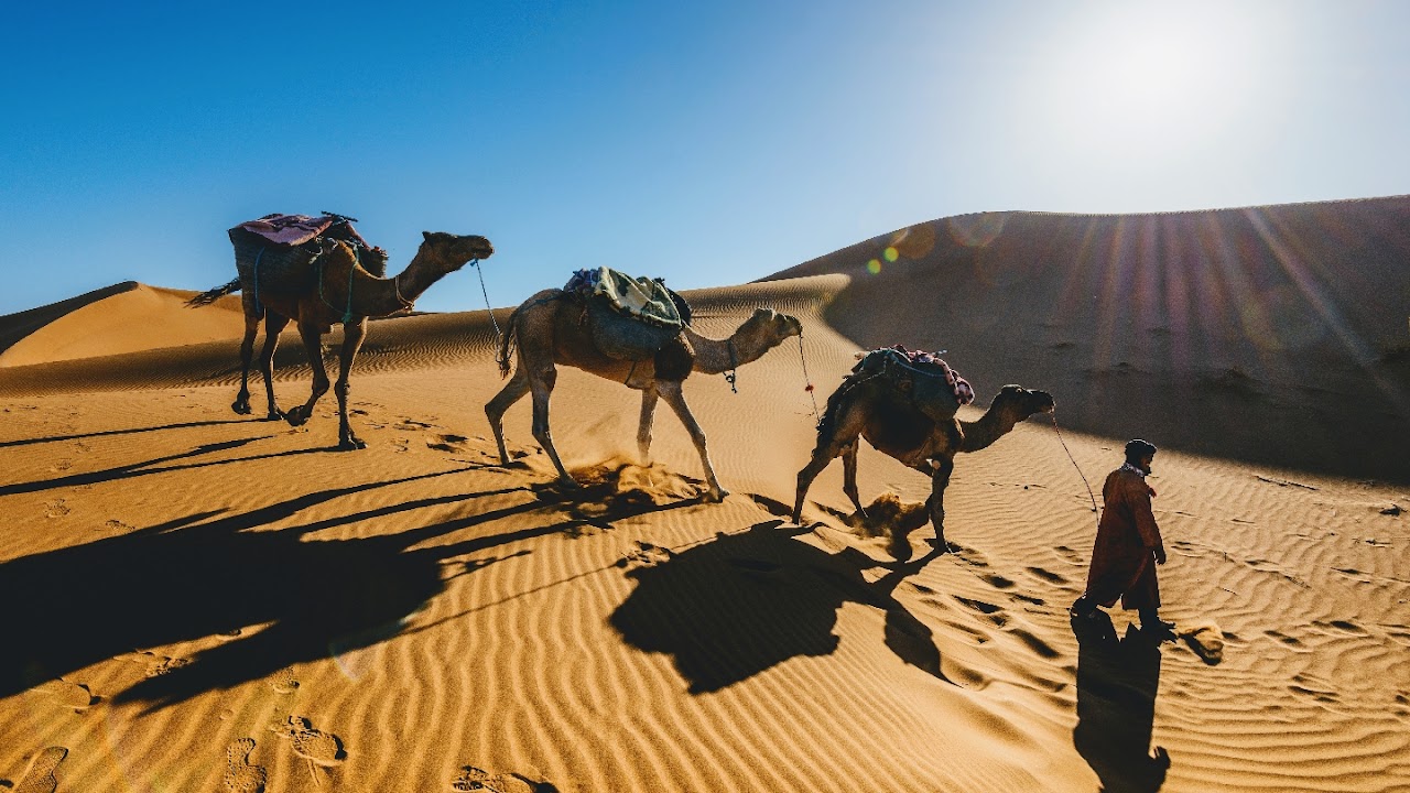 Marrakech City Life - Morocco Tour