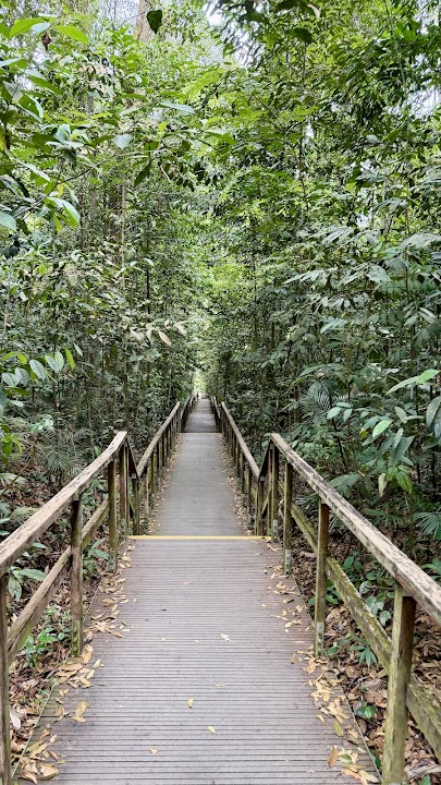 Tree Top Walk Trail