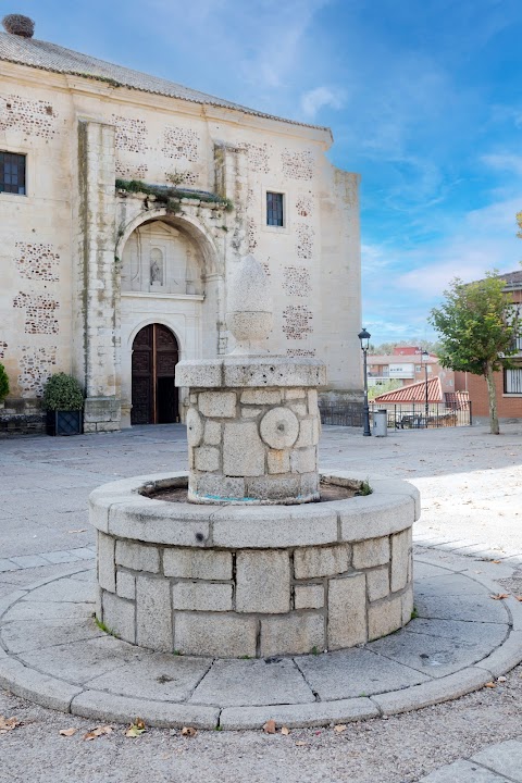 Cobeña