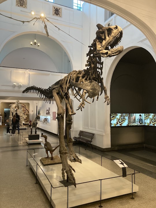 Museum of Zoology of the University of São Paulo — São Paulo experience