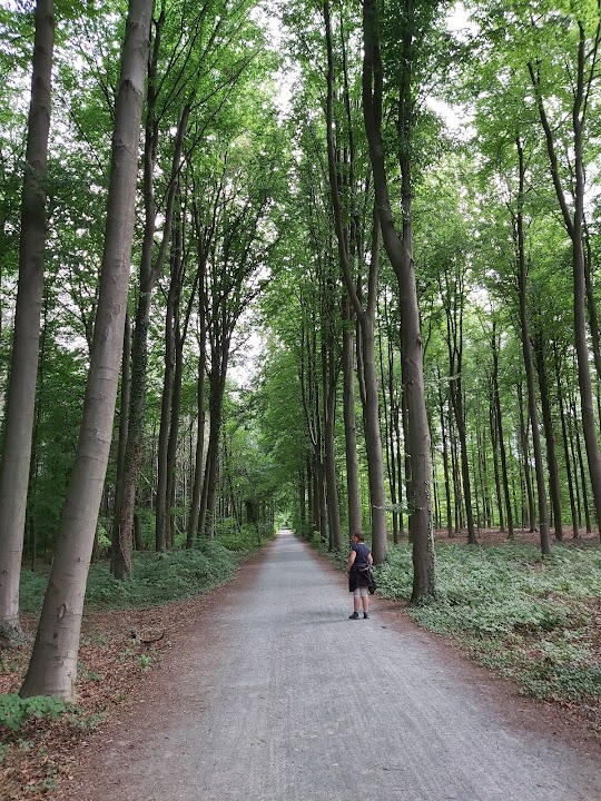 Heverleebos