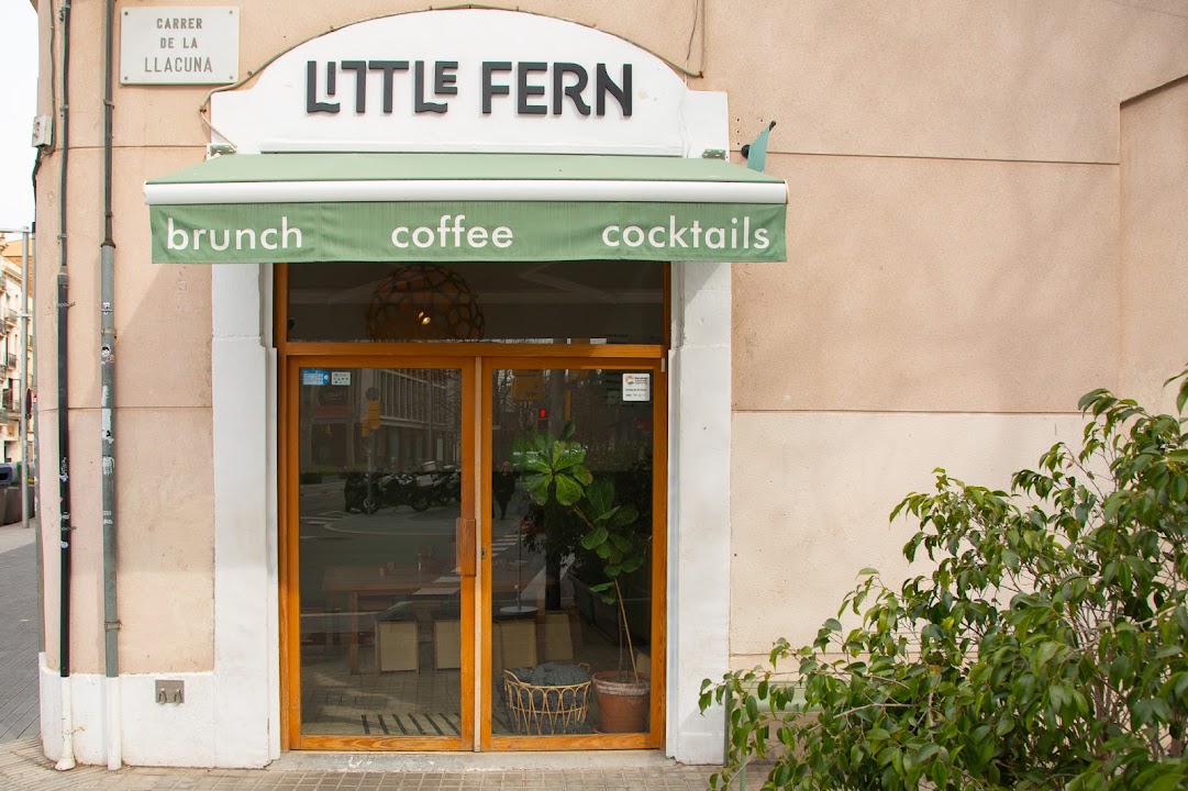 LITTLE FERN