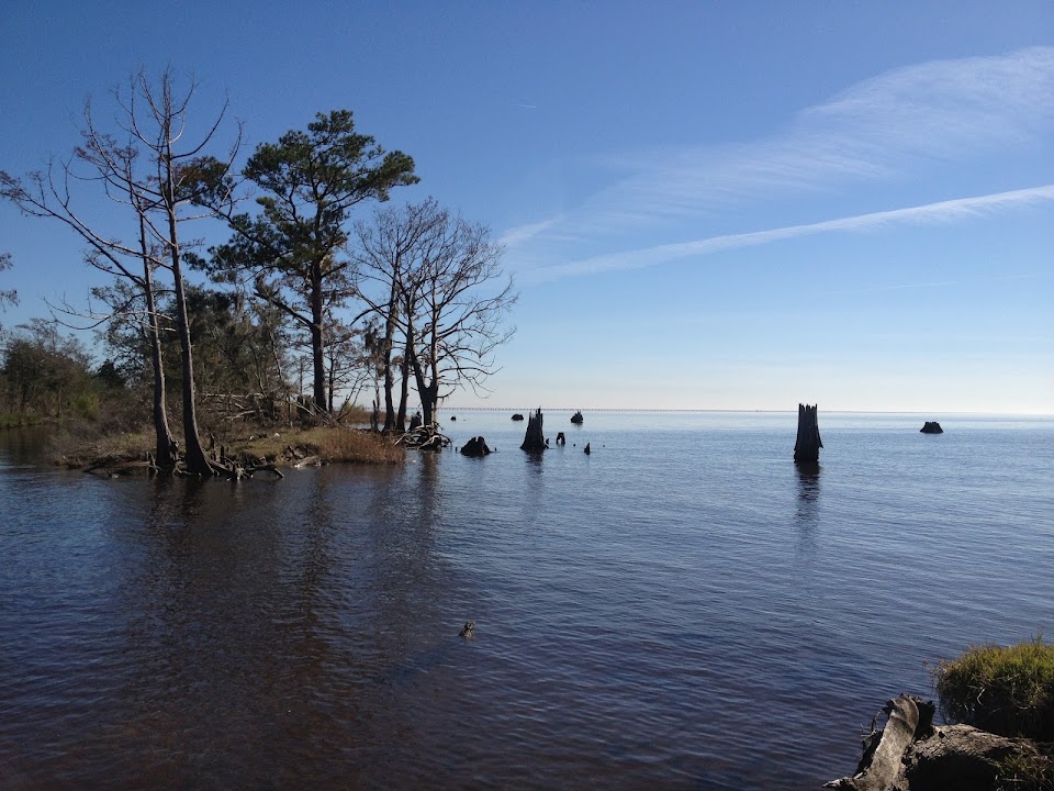 South East Madisonville/Mandeville Marsh