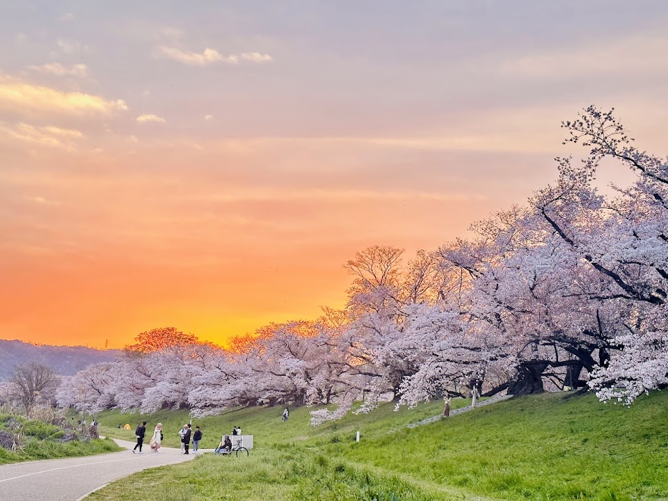 Yodogawa Kasen Park Sewari Area