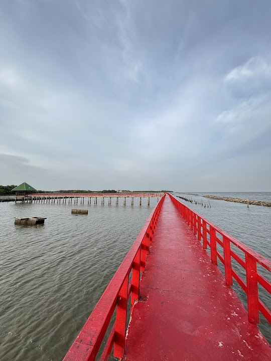 The Red Bridge, Dolphin Watching Area
