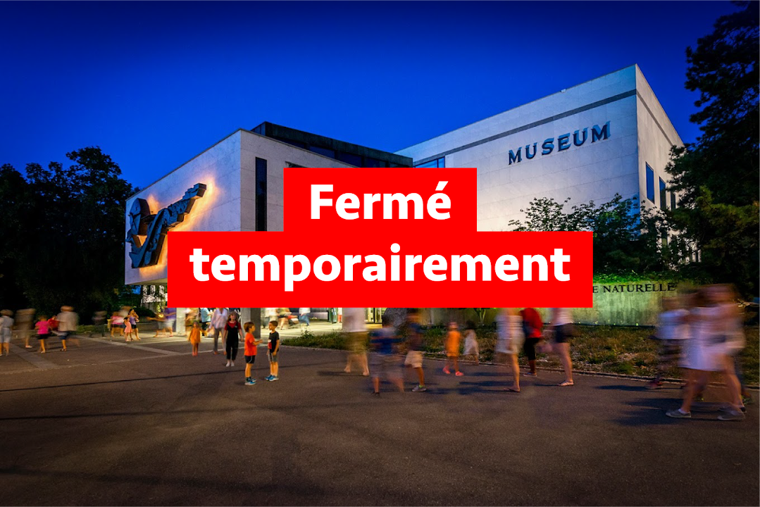 Muséum d'Histoire Naturelle