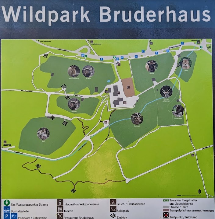 Wildpark Bruderhaus Winterthur