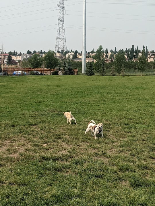 Glenbrook Park Off-Leash Area