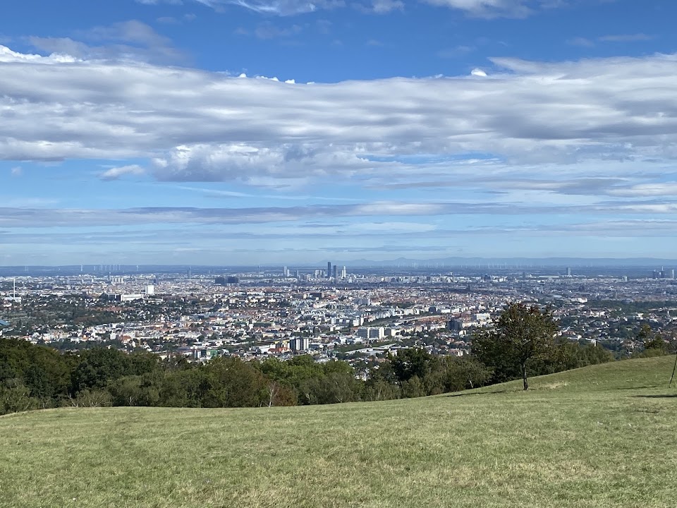 Wienerblick