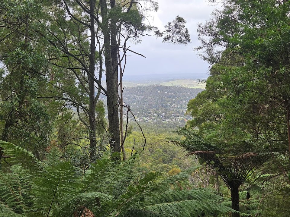 1000 Steps Kokoda Track Memorial walk