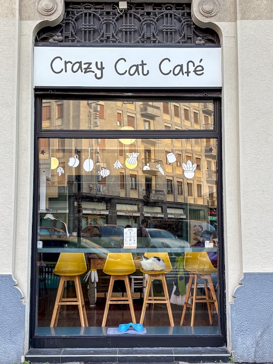 Crazy Cat Café