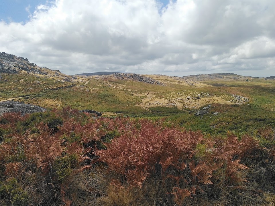 Parque de Merendas de Merujal