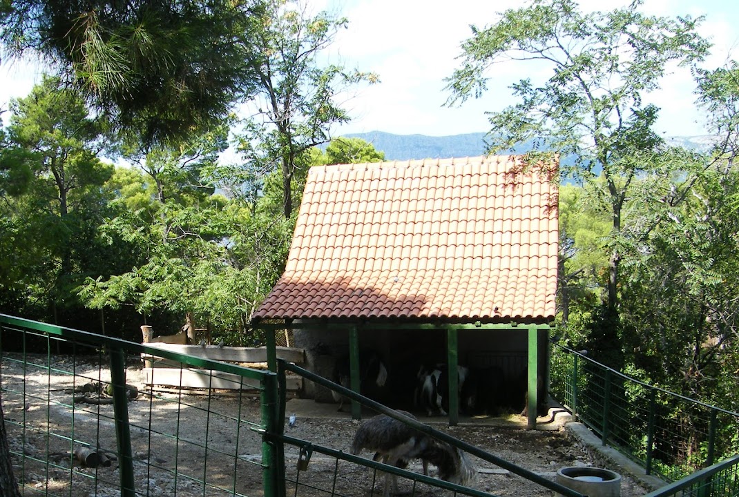 Natural History Museum and Zoo