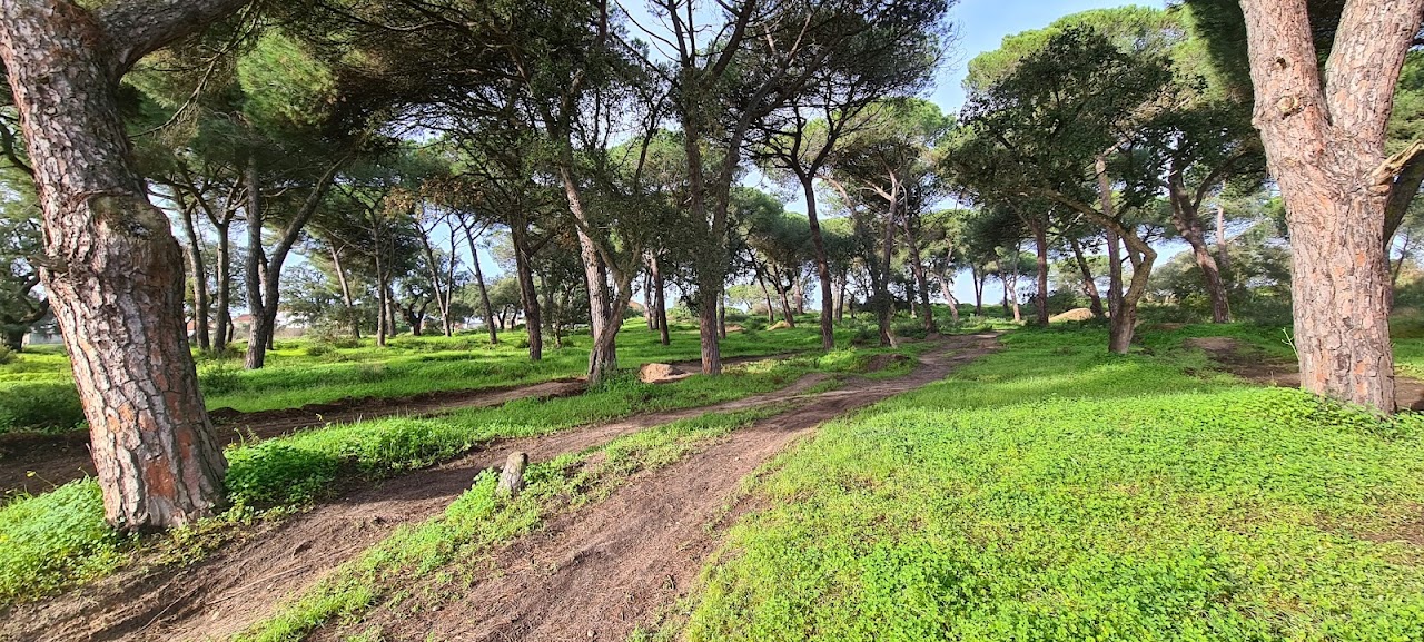 Paio Pires Bike Park