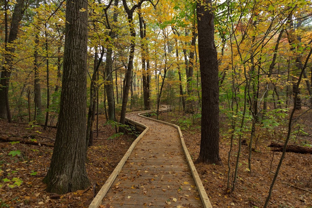 Garden in the Woods