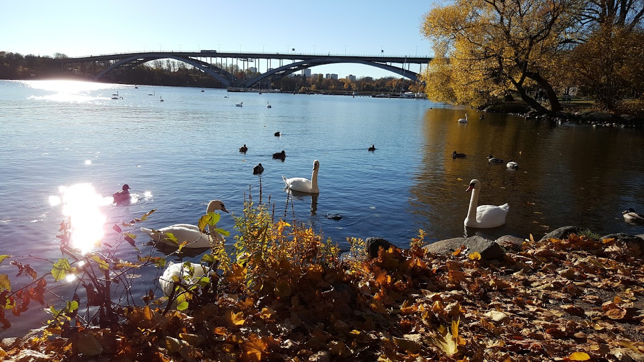 Rålambshovsparken