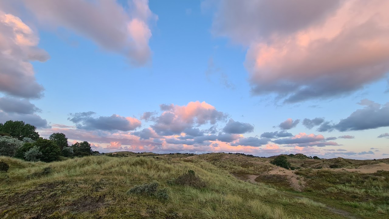 Amsterdamse Waterleidingduinen