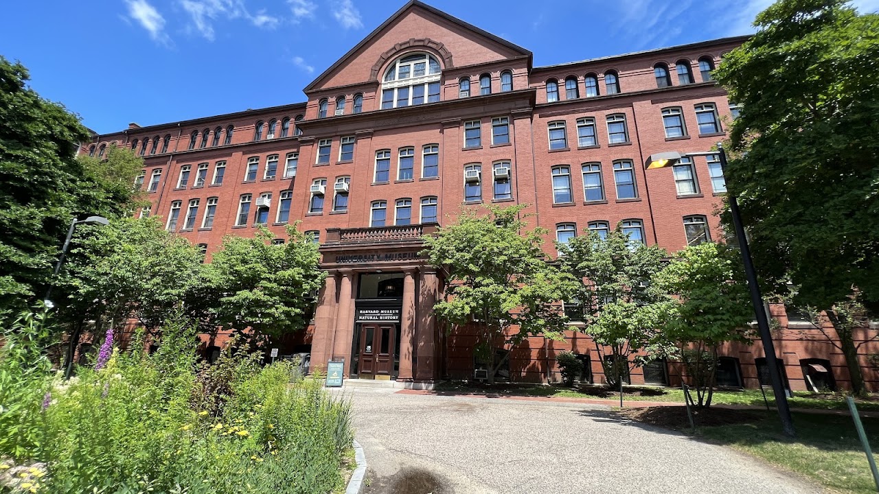 The Harvard Museum of Natural History