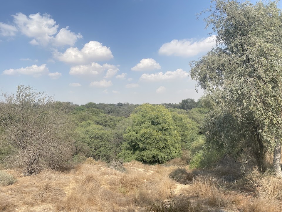 Mushrif Park Hiking Trail