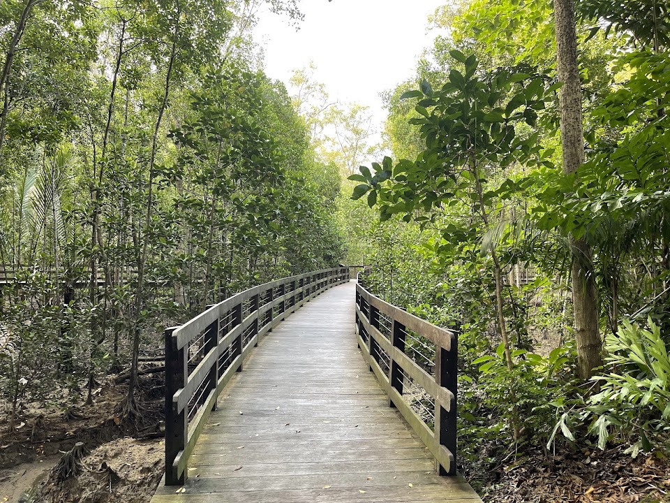 Pasir Ris Park Mangrove Boardwalk