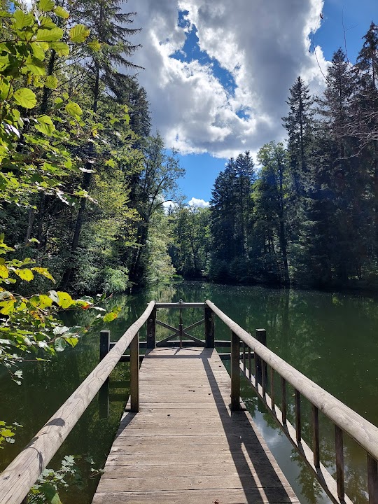 Waldsee Farenbachtobel