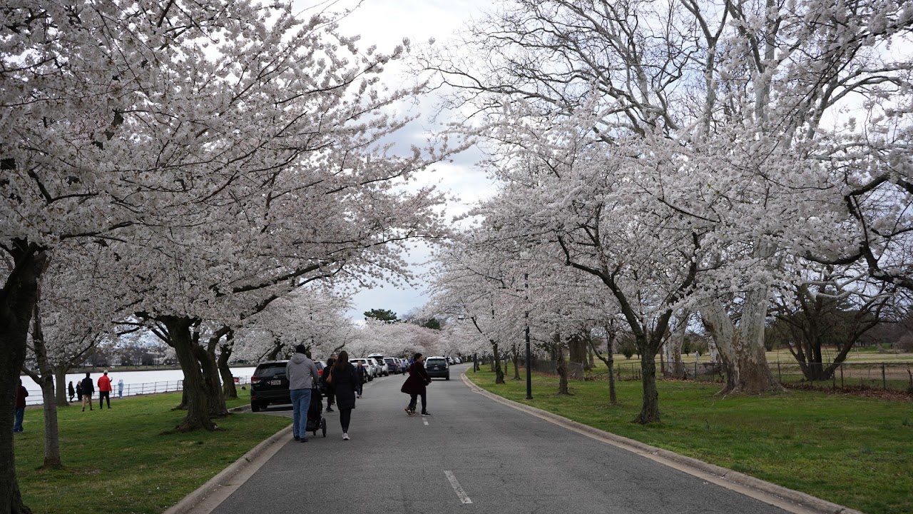 Hains Point Picnic Area