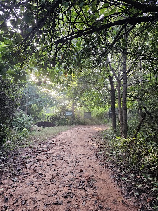 Aravalli Biodiversity Park