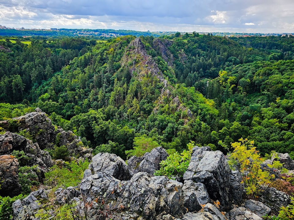 Divoká Šárka